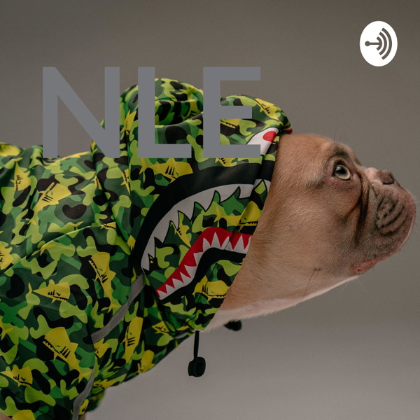 Artwork for NLE