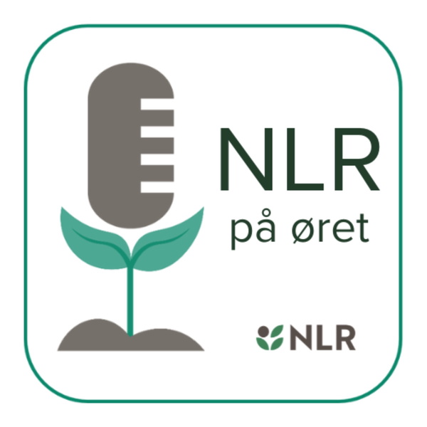Artwork for NLR på øret