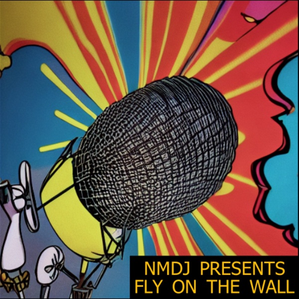 Artwork for NMDJ presents Fly On The Wall