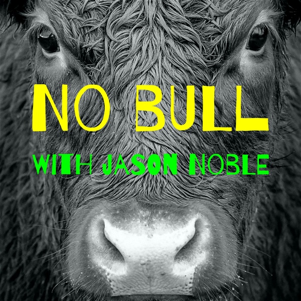Artwork for No Bull