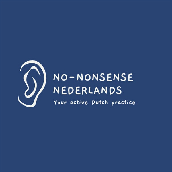 Artwork for No-nonsense Nederlands