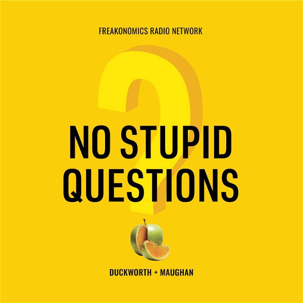 Artwork for No Stupid Questions