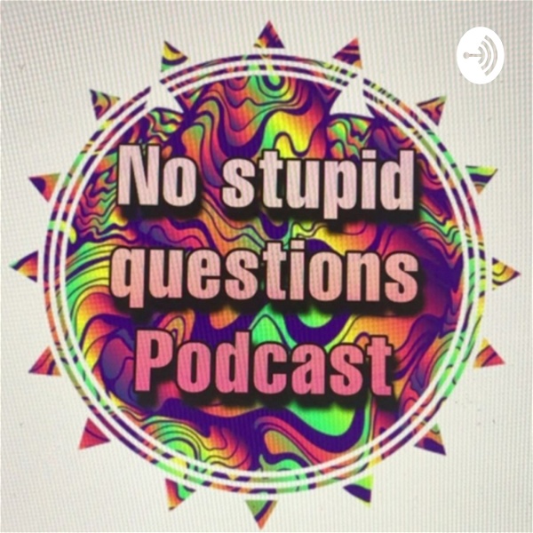 Artwork for No stupid questions