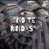 "NO TE RINDAS"