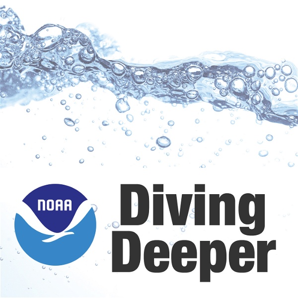 Artwork for NOAA: Diving Deeper