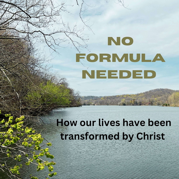 Artwork for No Formula Needed