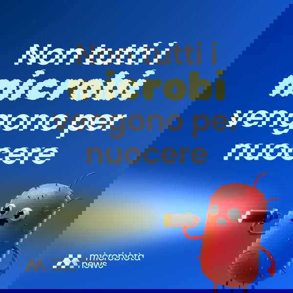 Artwork for Non tutti i microbi vengono per nuocere