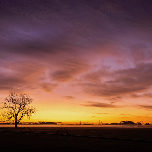 Artwork for Northeast church of Christ Podcast