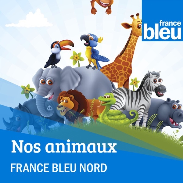 Artwork for Nos animaux