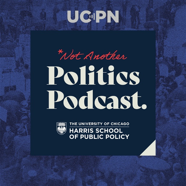 Artwork for Not Another Politics Podcast