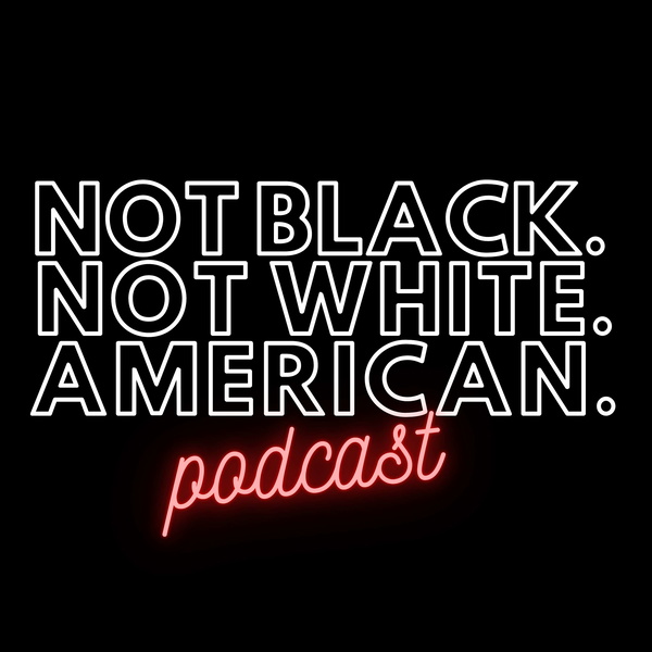 Artwork for Not Black Not White American Podcast