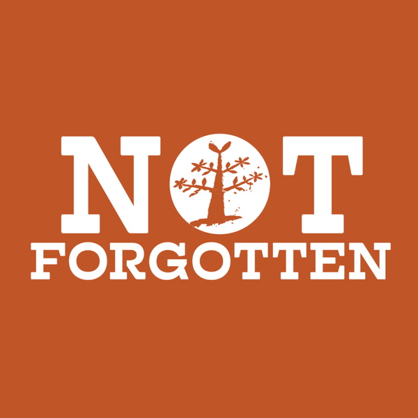 Artwork for NOT FORGOTTEN: Stories of Utah's Dixie
