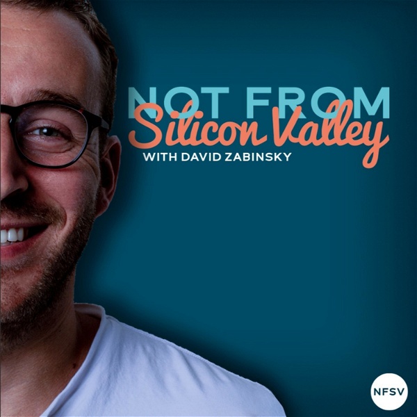 Artwork for Not From Silicon Valley