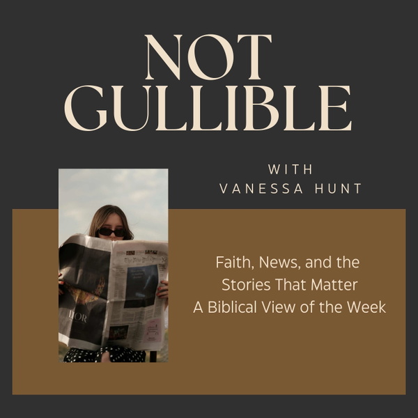 Artwork for Not Gullible