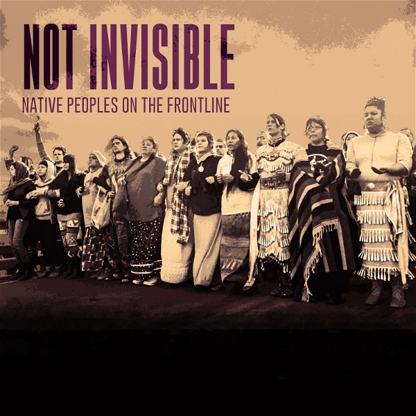 Artwork for Not Invisible: Native Peoples on the Frontlines