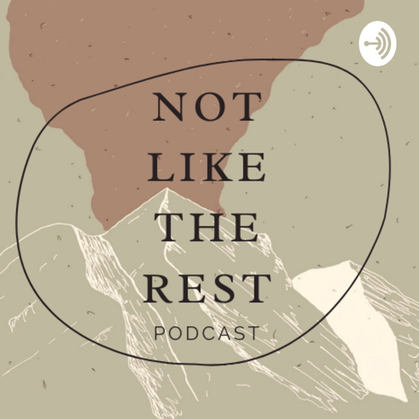 Artwork for Not Like The Rest