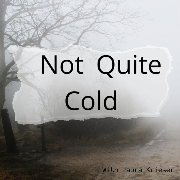 Artwork for Not Quite Cold