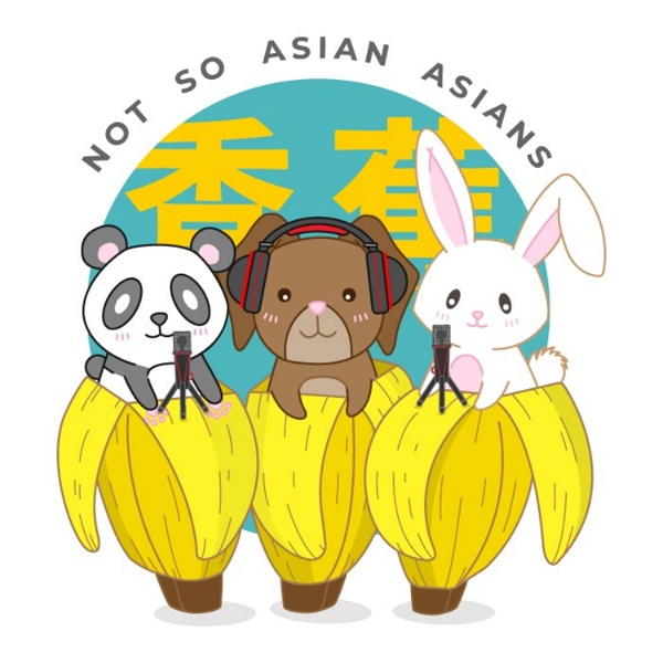 Artwork for Not So Asian Asians