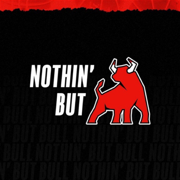 Artwork for Nothin’ But Bull