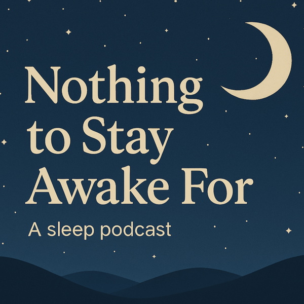 Artwork for Nothing To Stay Awake For