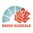 Radio Radicale - Notiziario del mattino