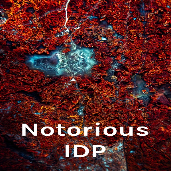 Artwork for Notorious IDP