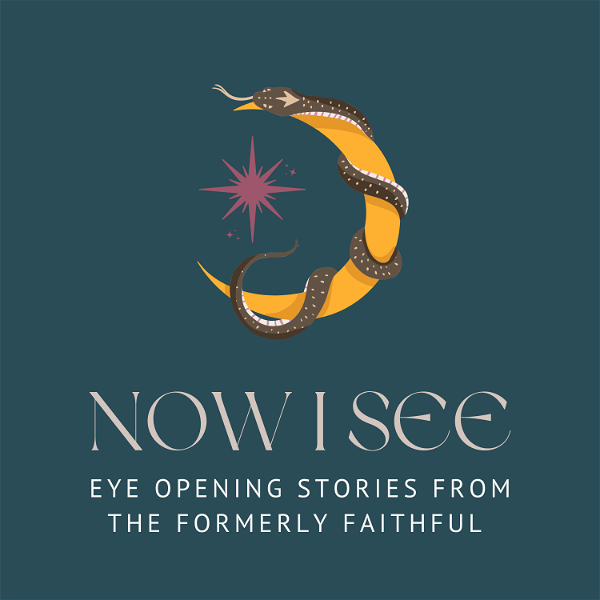 Artwork for Now I See: Eye Opening Stories from the Formerly Faithful