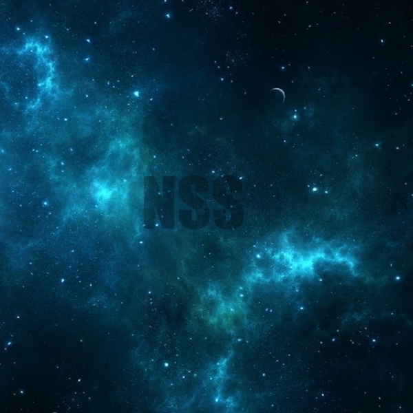 Artwork for NSS