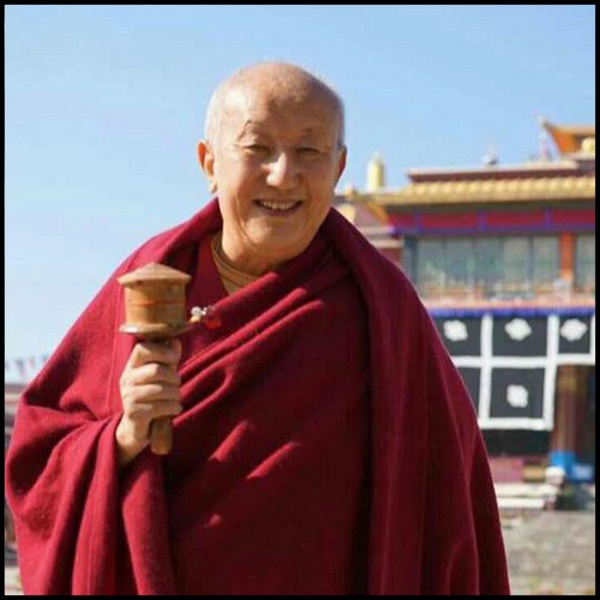 Artwork for 努巴仁波切 H.E. Nubpa Rinpoche