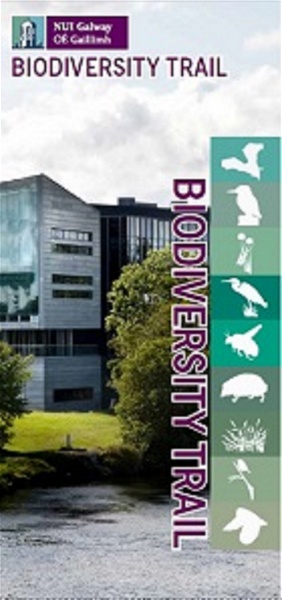 Artwork for NUI Galway Biodiversity Trail