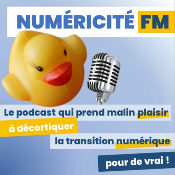 Artwork for Numéricité FM
