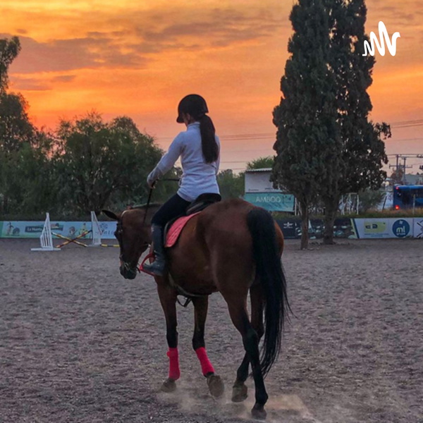 Artwork for Tu nutri de confianza por Bárbara De Luna