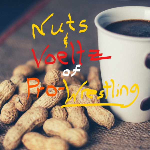 Artwork for Nuts & Voeltz of Pro-Wrestling