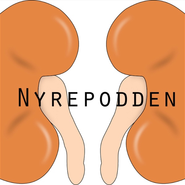 Artwork for Nyrepodden