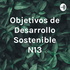Objetivos de Desarrollo Sostenible N°13