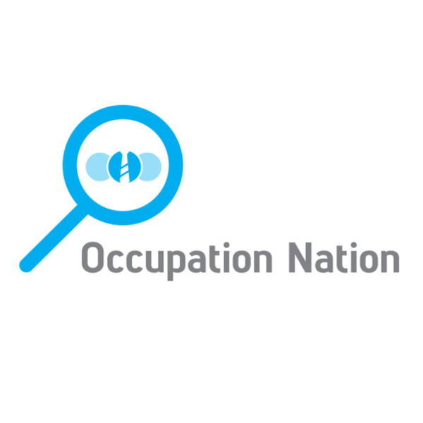 Artwork for Occupation Nation