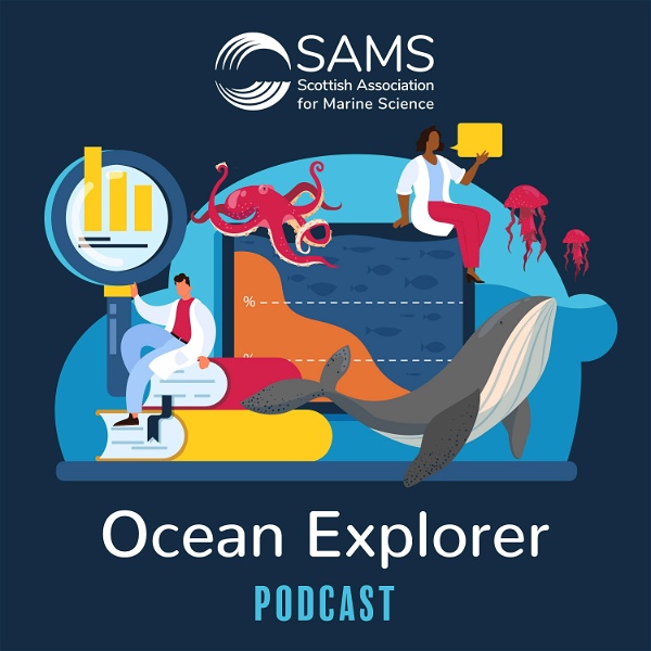 Artwork for SAMS Ocean Explorer