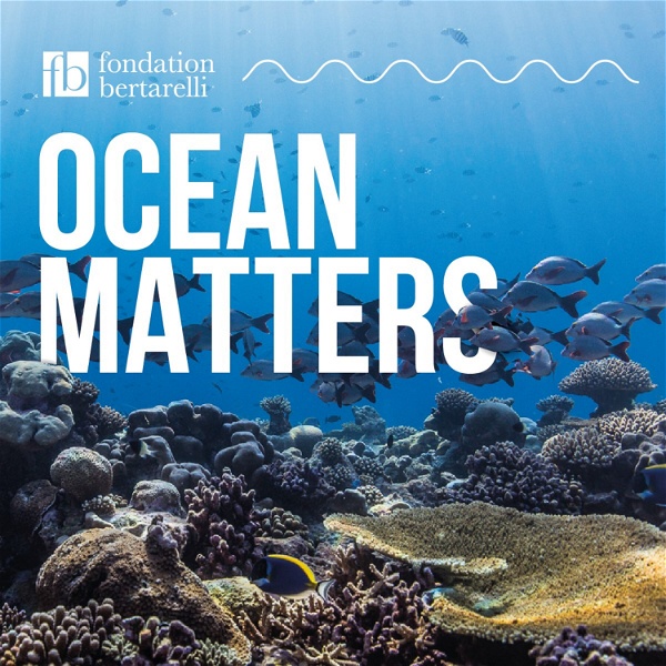 Artwork for Ocean Matters