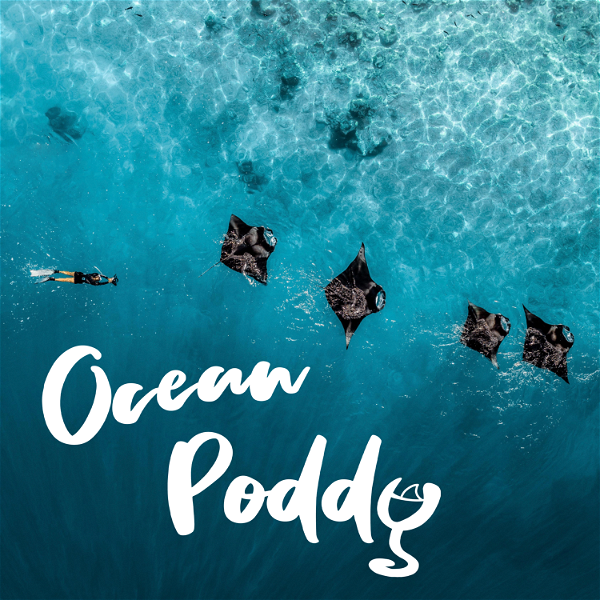 Artwork for Ocean Poddy