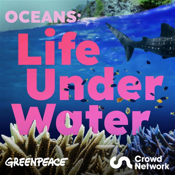 Artwork for Oceans: Life Under Water
