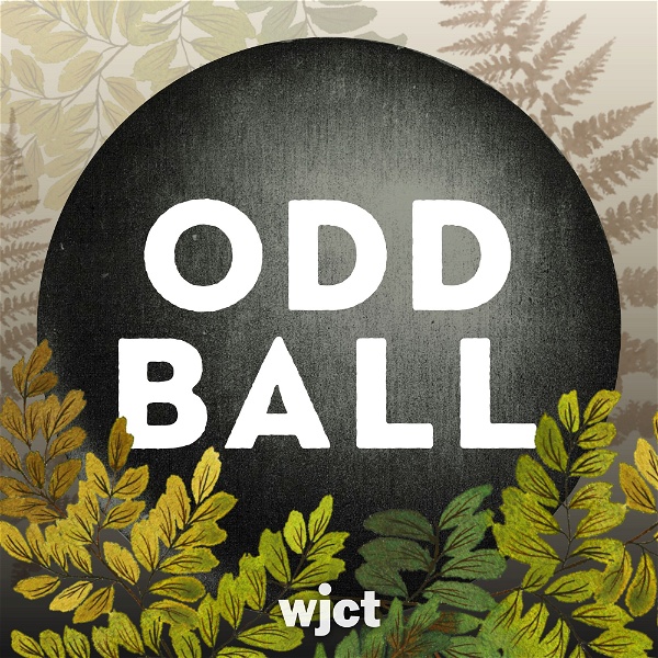 Artwork for Odd Ball Podcast