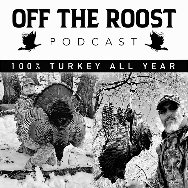 Artwork for Off The Roost Podcast