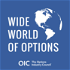 OICs Wide World of Options