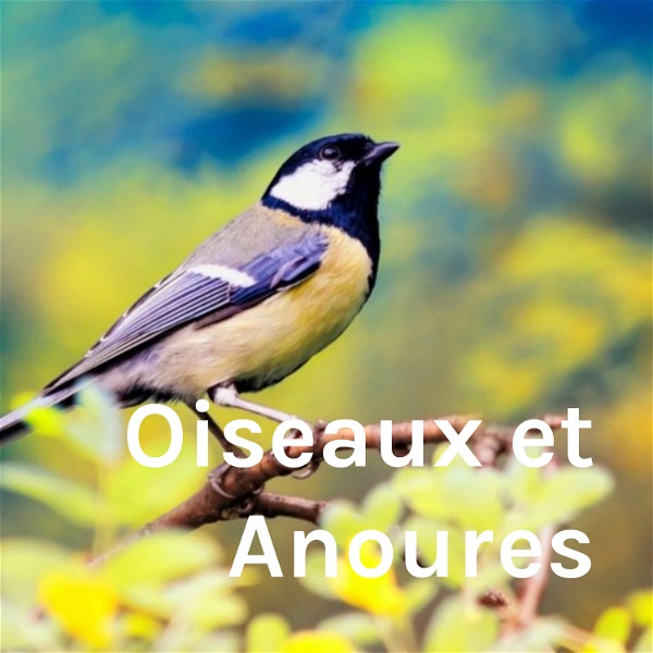 Artwork for Oiseaux et Anoures