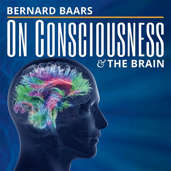 Artwork for On Consciousness & the Brain