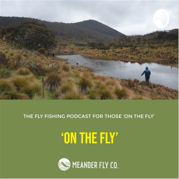 Artwork for On The Fly