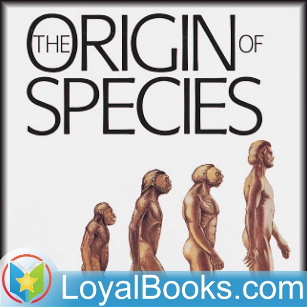 Artwork for On the Origin of Species by Means of Natural Selection by Charles Darwin