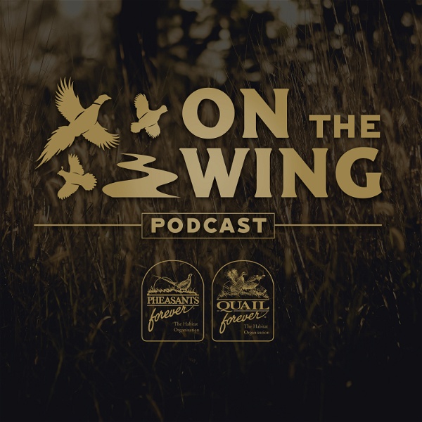 Artwork for On The Wing Podcast