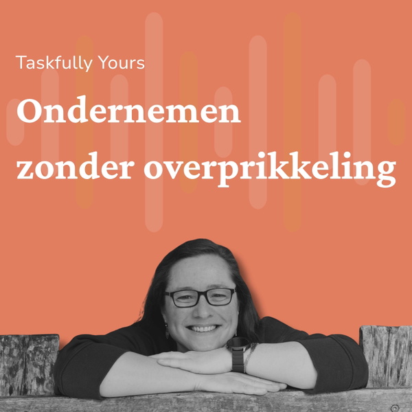 Artwork for Ondernemen zonder overprikkeling