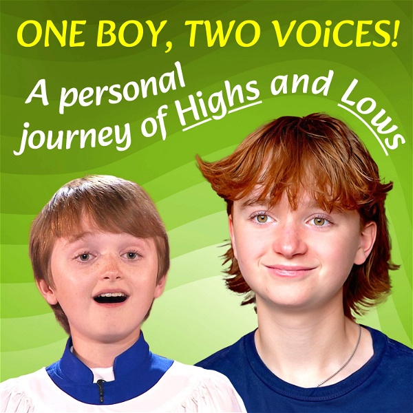 Artwork for ONE Boy, TWO Voices ....